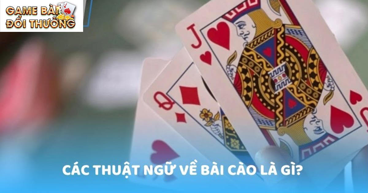Cách Chơi Bài Cào - Bật Mí Những Điều Thú Vị Cho Tân Binh 1 Giải đáp cơ bản về bài cào cho newbie