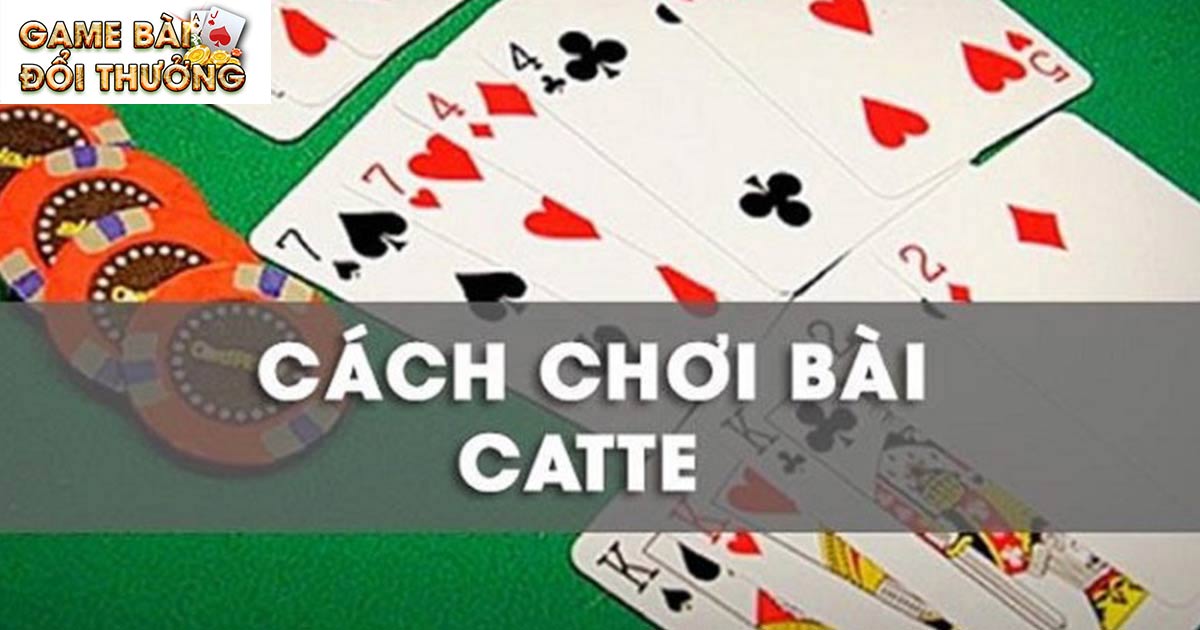 Game Bài Catte - Hướng Dẫn Cách Chơi Siêu Đơn Giản 3 Cách chơi game bài catte đơn giản cho newbie